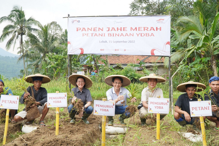 Ketua Pengurus Yayasan Dharma Bhakti Astra (YDBA), Sigit P. Kumala (tengah); Bendahara Pengurus YDBA, Handoko Pranoto (ketiga kanan) ; Pengurus YDBA, Vilia Husin (ketiga kiri) serta para petani binaan YDBA saat melakukan kegiatan panen jahe merah di Lebak, Banten (15/09). Panen yang melibatkan 41 petani, baik dari masyarakat Baduy maupun Non Baduy ini menghasilkan sebanyak 32,5 ton jahe merah yang dibudidaya dari 2,6 hektar lahan pertanian. Hasil panen akan dikirim para petani ke PT Bintang Toedjoe. Hasil panen tersebut meningkat 100% dari panen perdana pada 20 Oktober 2021 yang menghasilkan 16 ton jahe merah yang juga dipasok ke PT Bintang Toedjoe. 